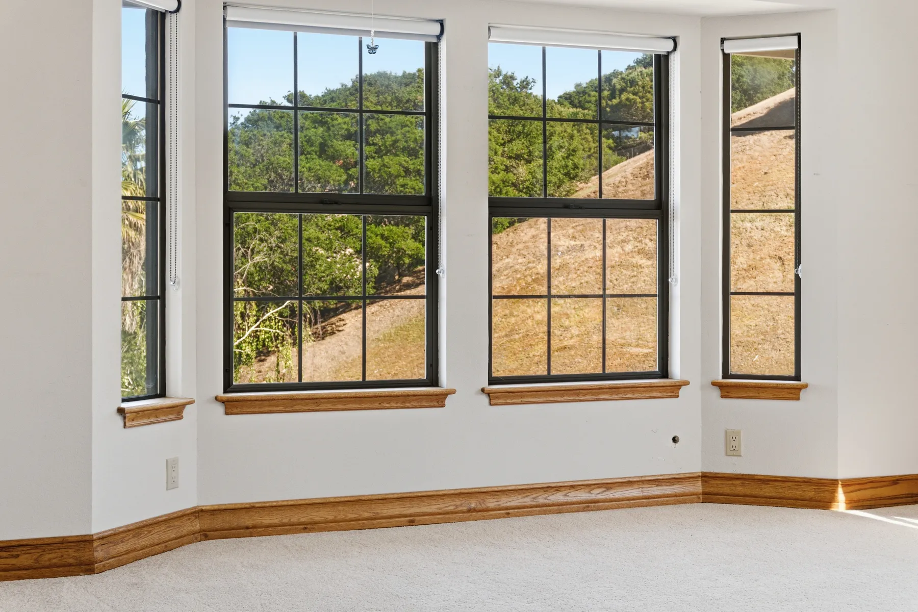 Photo 103 of 130, 200 Tobin Clark Dr, Hillsborough, CA 94010
